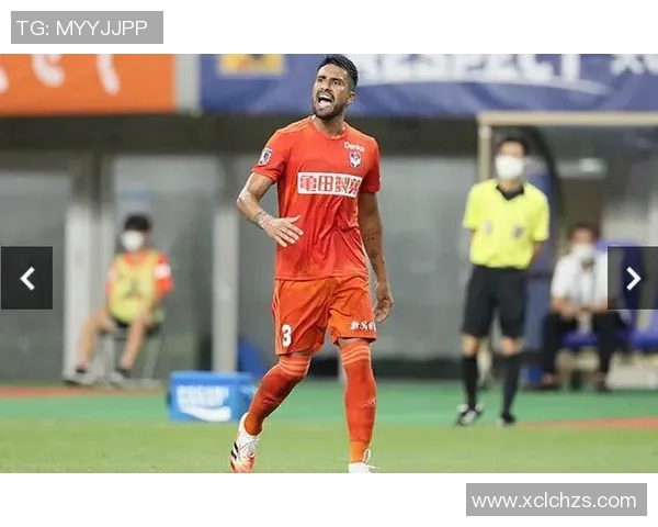 山形山神与不死鸟的决战传说揭示了力量与永恒的对抗之谜