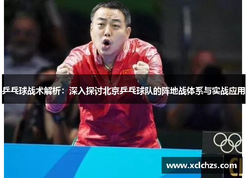 乒乓球战术解析：深入探讨北京乒乓球队的阵地战体系与实战应用